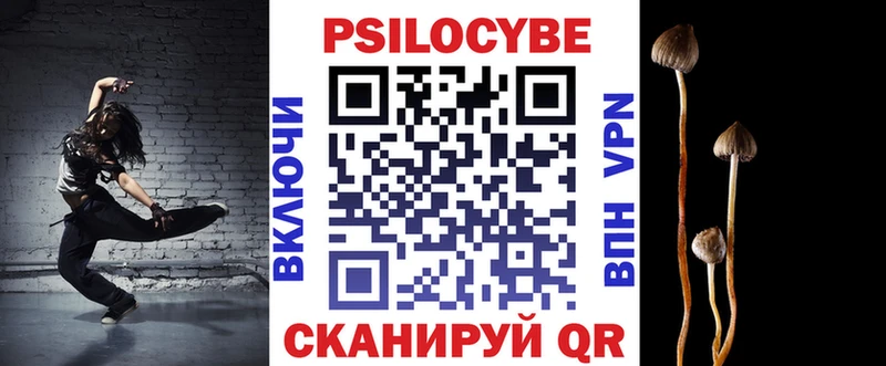 закладка Дальнегорск ОМГ ОМГ ONION Псилоцибиновые грибы прущие грибы